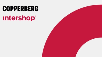 Copperberg Report visual