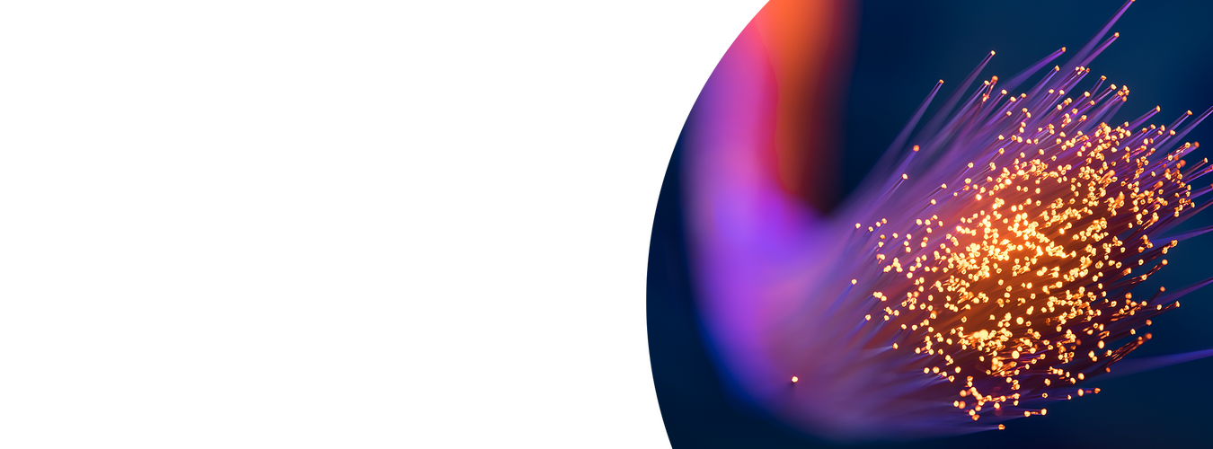 Intershop Customer Telekom